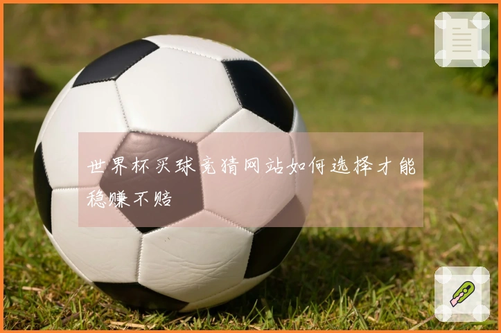 世界杯买球竞猜网站如何选择才能稳赚不赔