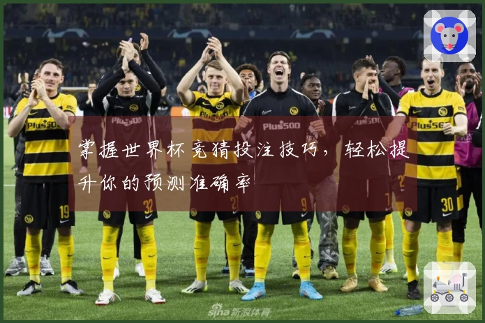 掌握世界杯竞猜投注技巧，轻松提升你的预测准确率