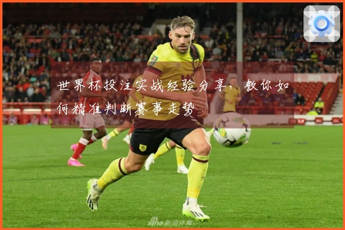 世界杯投注实战经验分享，教你如何精准判断赛事走势