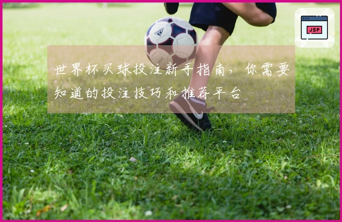世界杯买球投注新手指南，你需要知道的投注技巧和推荐平台