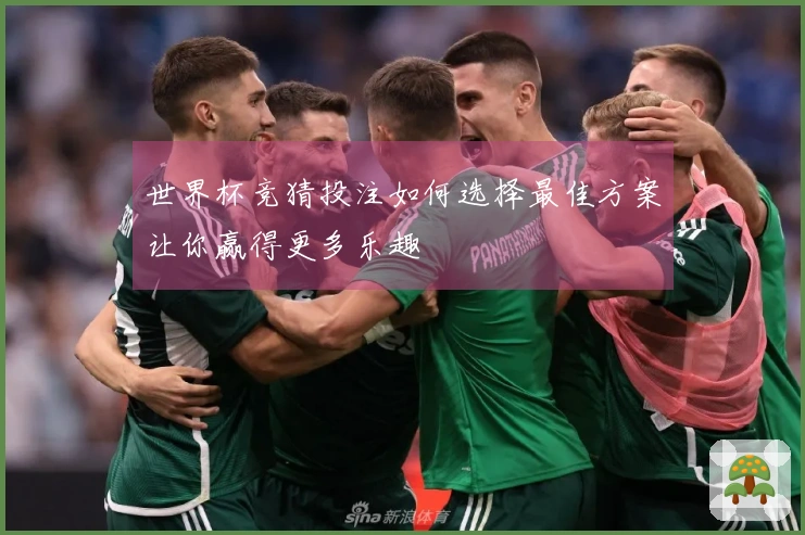 世界杯竞猜投注如何选择最佳方案让你赢得更多乐趣