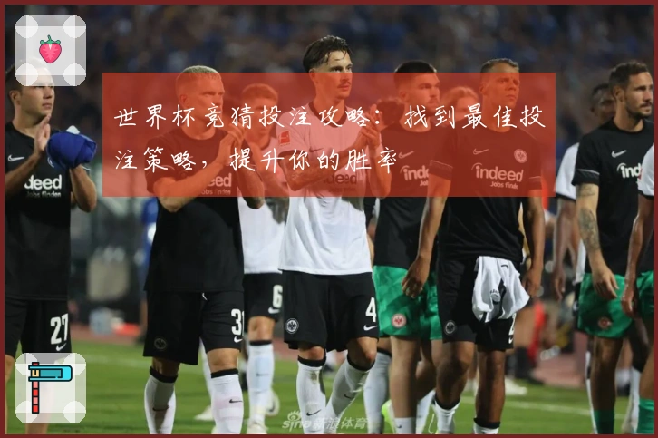 世界杯竞猜投注攻略：找到最佳投注策略，提升你的胜率