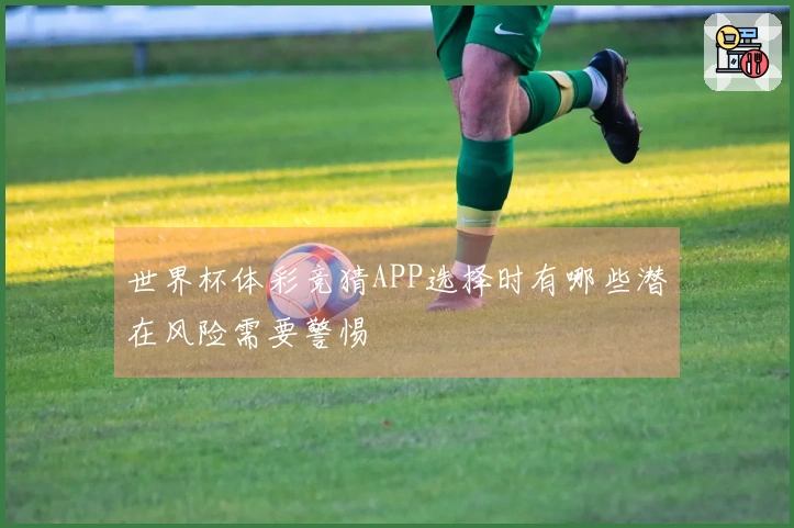 世界杯体彩竞猜APP选择时有哪些潜在风险需要警惕