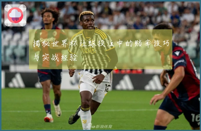 揭秘世界杯让球投注中的赔率技巧与实战经验