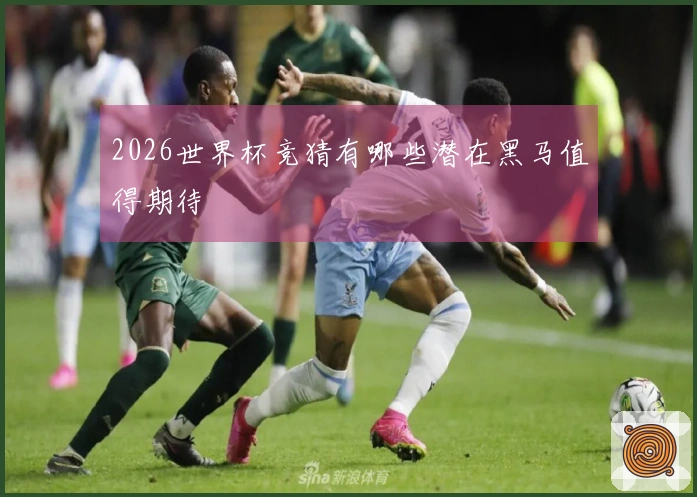 2026世界杯竞猜有哪些潜在黑马值得期待