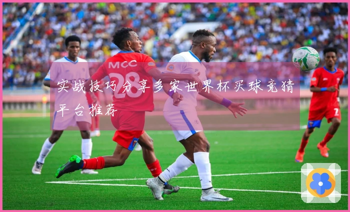 实战技巧分享多家世界杯买球竞猜平台推荐