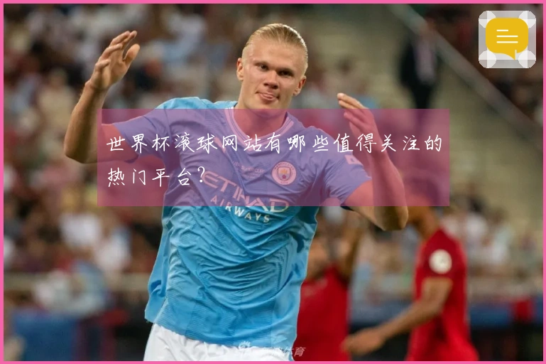 世界杯滚球网站有哪些值得关注的热门平台？