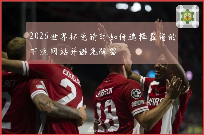 2026世界杯竞猜时如何选择靠谱的下注网站并避免踩雷