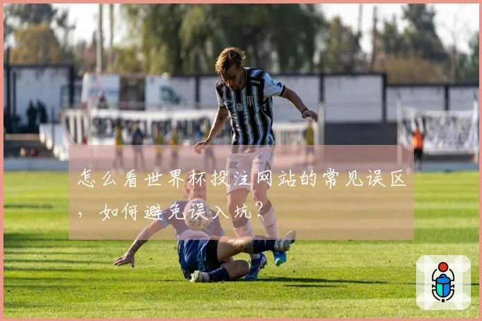 怎么看世界杯投注网站的常见误区，如何避免误入坑？