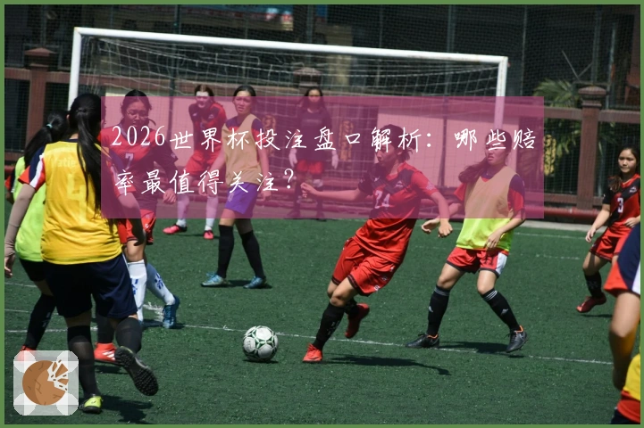 2026世界杯投注盘口解析：哪些赔率最值得关注？
