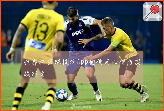 世界杯买球投注App的使用心得与实战指南