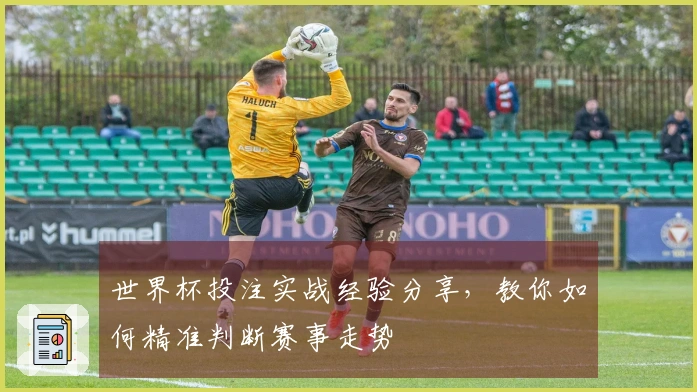 世界杯投注实战经验分享，教你如何精准判断赛事走势