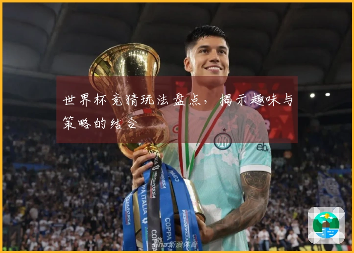 世界杯竞猜玩法盘点，揭示趣味与策略的结合