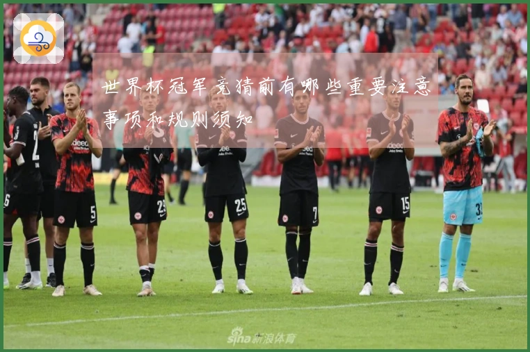 世界杯冠军竞猜前有哪些重要注意事项和规则须知