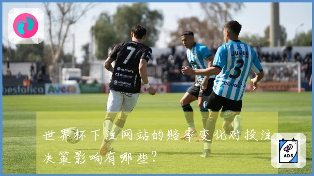 世界杯下注网站的赔率变化对投注决策影响有哪些？