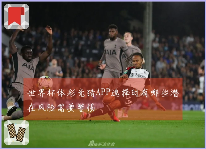 世界杯体彩竞猜APP选择时有哪些潜在风险需要警惕