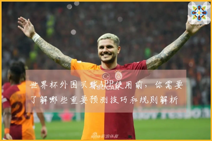 世界杯外围买球APP使用前，你需要了解哪些重要预测技巧和规则解析