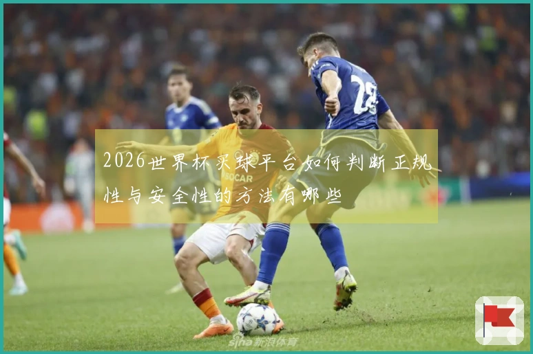 2026世界杯买球平台如何判断正规性与安全性的方法有哪些