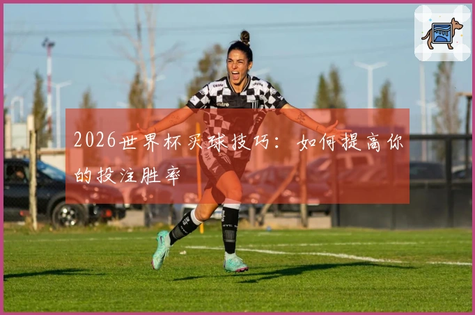 2026世界杯买球技巧：如何提高你的投注胜率