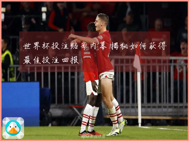 世界杯投注赔率内幕 揭秘如何获得最佳投注回报