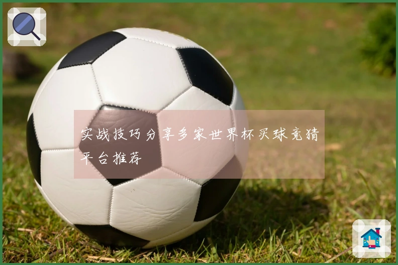 实战技巧分享多家世界杯买球竞猜平台推荐