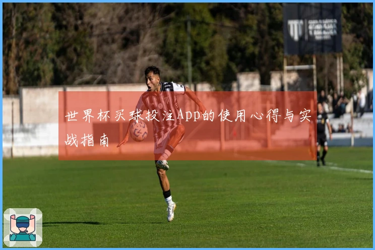 世界杯买球投注App的使用心得与实战指南