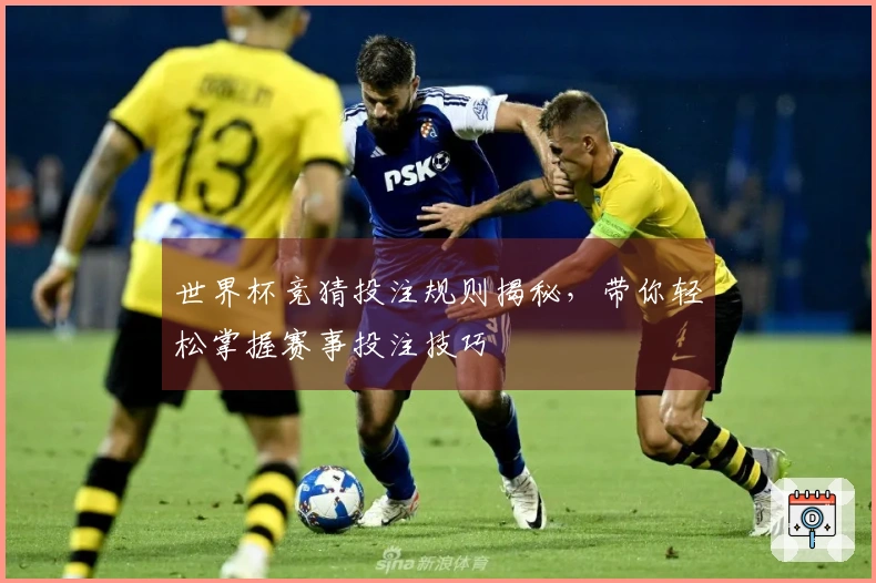 世界杯竞猜投注规则揭秘，带你轻松掌握赛事投注技巧