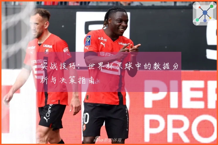 实战技巧：世界杯买球中的数据分析与决策指南