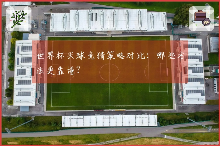 世界杯买球竞猜策略对比：哪些方法更靠谱？