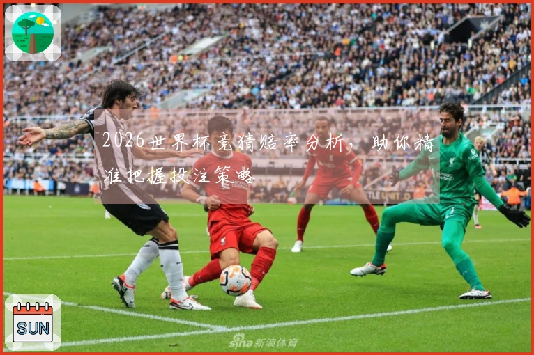 2026世界杯竞猜赔率分析，助你精准把握投注策略