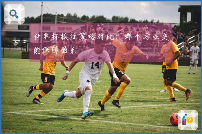 世界杯投注策略对比：哪个方法更能保障盈利